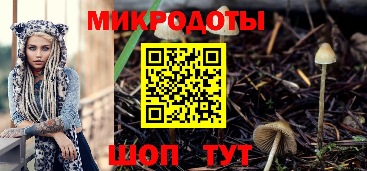 Амфетамин Новороссийск
