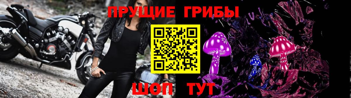 Псилоцибиновые грибы GOLDEN TEACHER Новороссийск